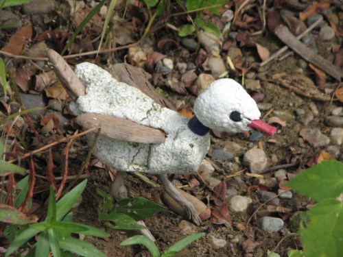 Water Chick, 10/2010