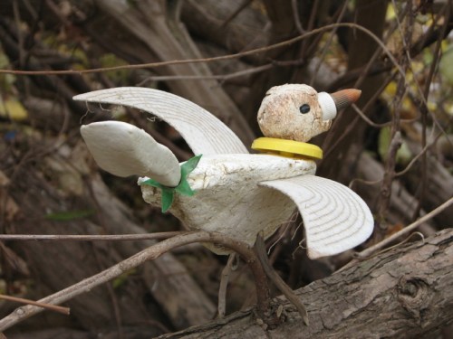 Thick-billed Thrasher, 11/2010