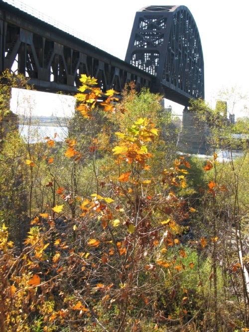 Railroad bridge in Autumn, 11/2010