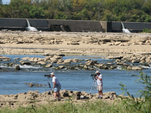 birdwatchers at the Falls of the Ohio, 2010