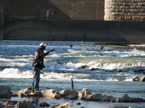 man with catfish, 2010