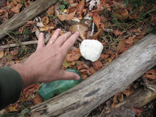 me picking up Styrofoam, 2010