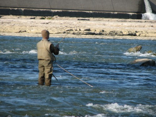 fisherman at the Falls, 2010