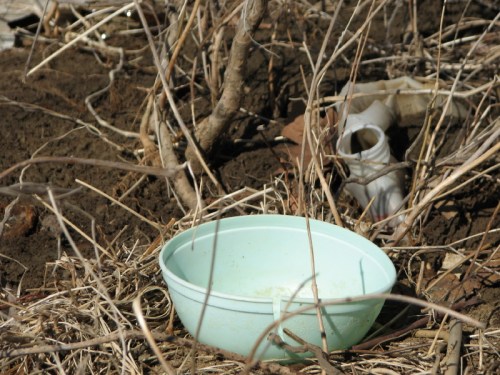 greenish-white plastic bowl, 2/2011