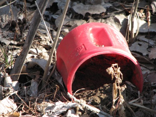 red plastic coffee container, 2/2011