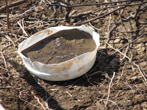 mud-filled plastic container, 2/2011