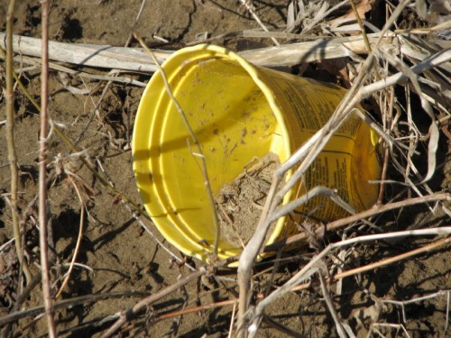plastic yellow tub on side, 2/2011
