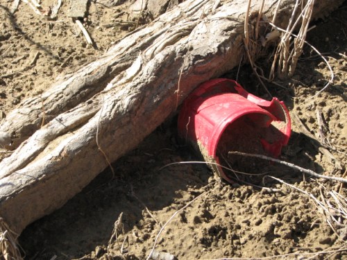 crushed red plastic coffee container, 2/2011