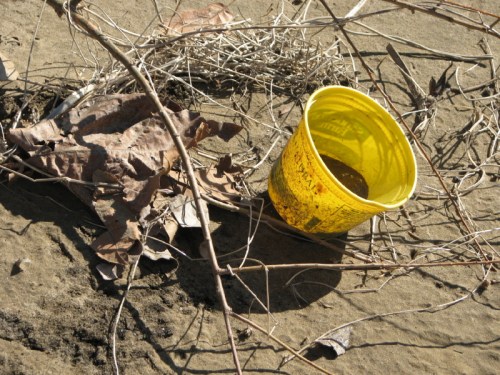 yellow plastic tub, 2/2011