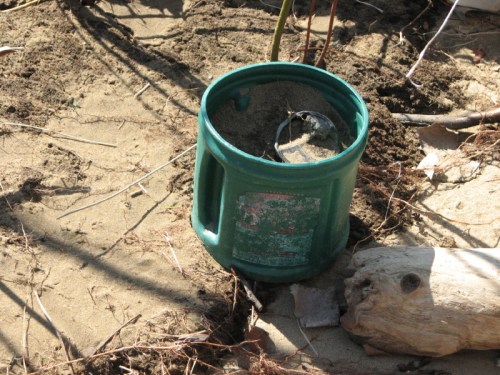 green plastic coffee container, 2/2011