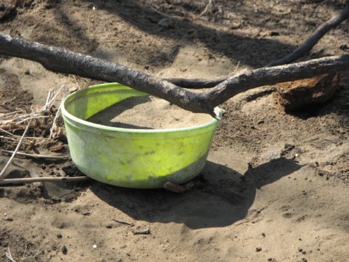 greenish yellow plastic bowl, 2/2011