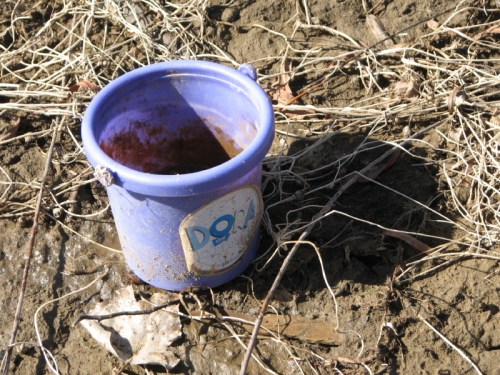purple plastic child's sand pail, 2/2011