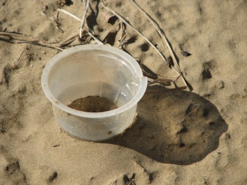 clear plastic tub, 2/2011