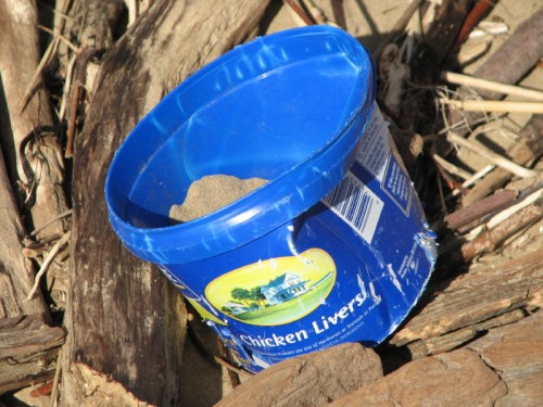 blue plastic liver container, 2/2011