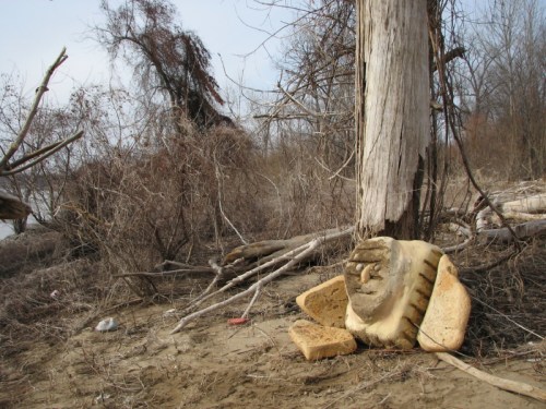Ohio Valley Sphinx on riverbank, 2/2011
