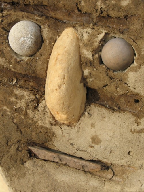 Face of Ohio Valley Sphinx, 2/2011