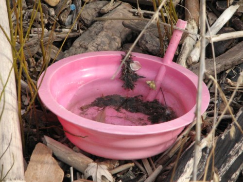 pink plastic bowl, 2/2011