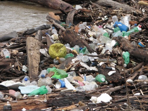 detail of plastic washing in, 3/2011