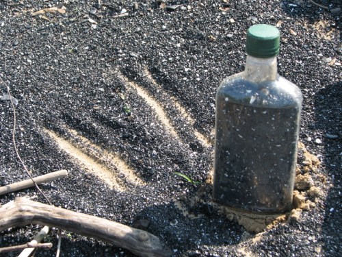 coal filled pint bottle, 7/2011