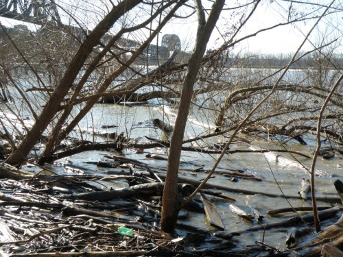 Falls of the Ohio, Dec. 2011