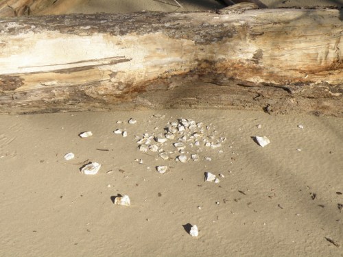 chipped rock, Dec. 2011