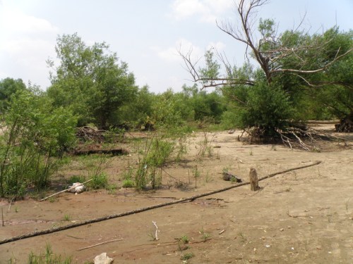 Straight rope, anchored on the right, June 2012