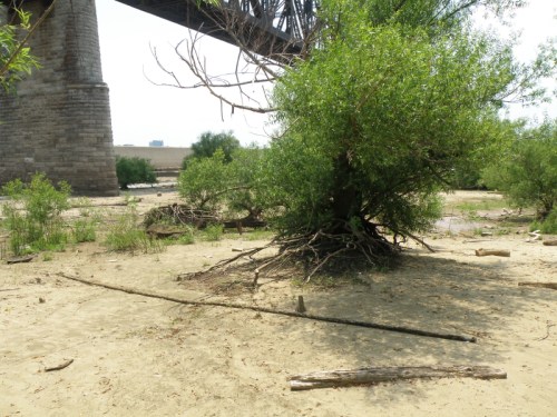 alternate view of rope pulled straight, June 2012