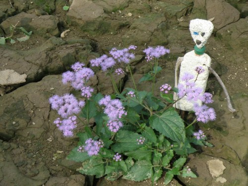 alien with flowering weeds, Oct. 2012