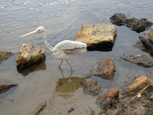 Lattice-necked Ibis hunting at the Falls of the Ohio, late Oct. 2012