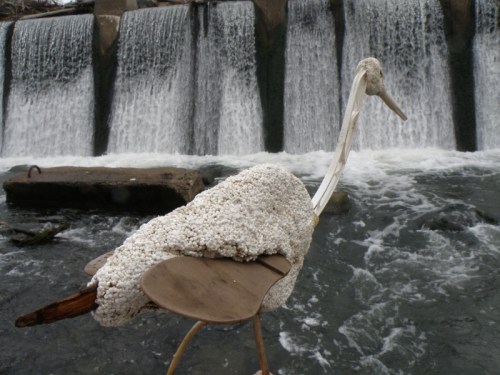 Live Ibis at the Falls of the Ohio, late October 2012