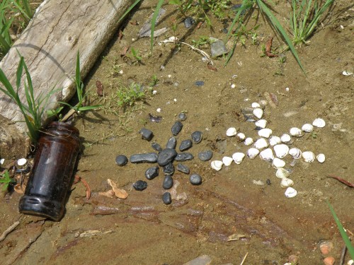 coal and clam shell designs, Falls of the Ohio, 2012