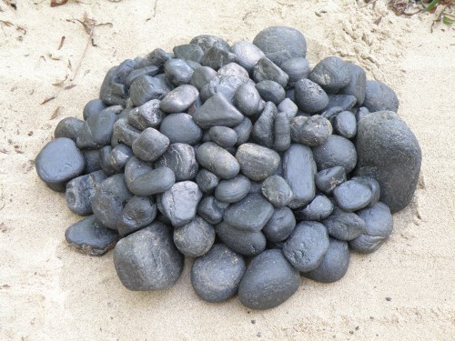 river-polished coal, Falls of the Ohio