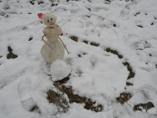 Blanche rolls a snowball, Dec. 2012