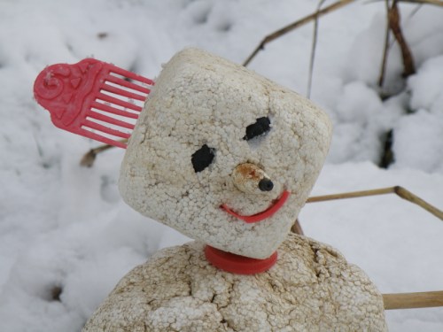 Blanche's face, detail, Dec. 2012
