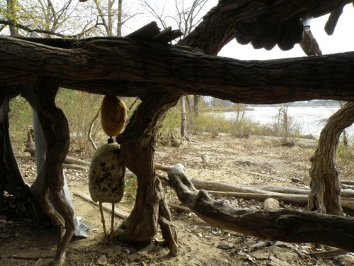 Under the Big Tree, Nov. 2012