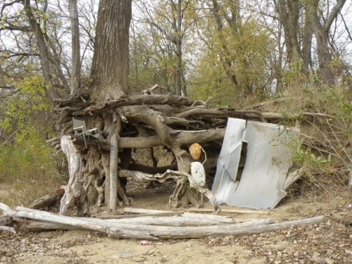 Figure by large cottonwood tree, Nov. 2012