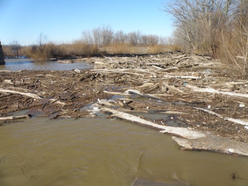 high water at the Falls of the Ohio, Jan. 2013