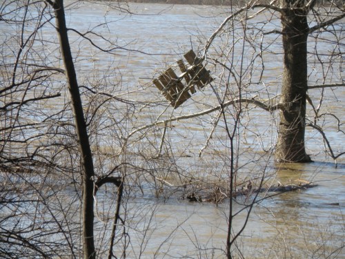wooden pallet in the trees, Jan. 2013