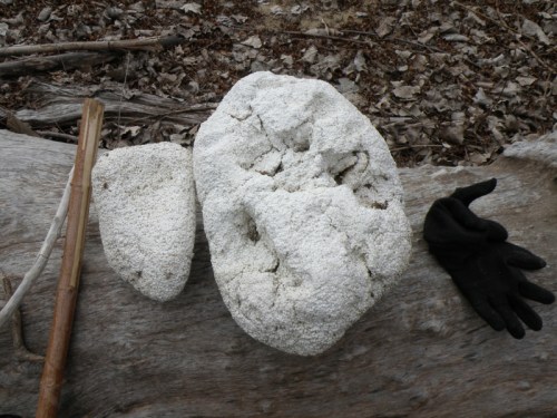 The beginnings of a figure, Jan. 2013