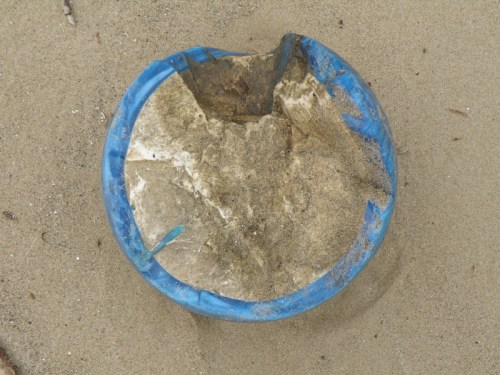 interior view of split bowling ball, 2013
