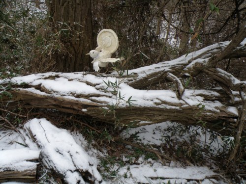 Snow Cock at the Falls of the Ohio, Feb. 2013