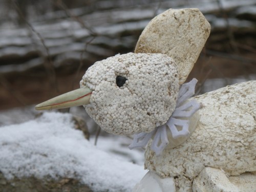 detail of Snow Cock head, Feb. 2013