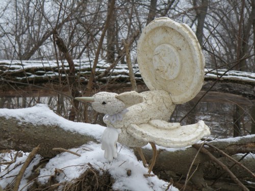 Snow Cock in natural habitat, Feb. 2013