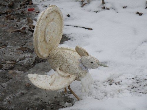 Snow Cock at the water's edge, Feb. 2013