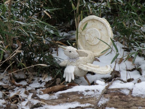 Snow Cock, Falls of the Ohio, Feb. 2013
