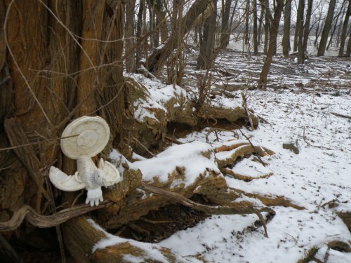 Snow Cock by large Osage Orange tree, Feb. 2013