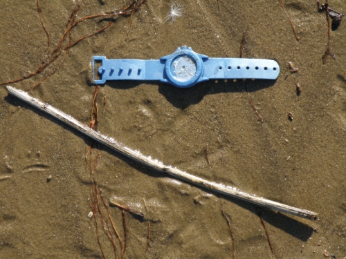 blue plastic watch, Feb. 2013