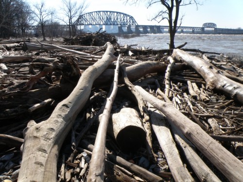 Falls of the Ohio, post high water, Feb. 2013