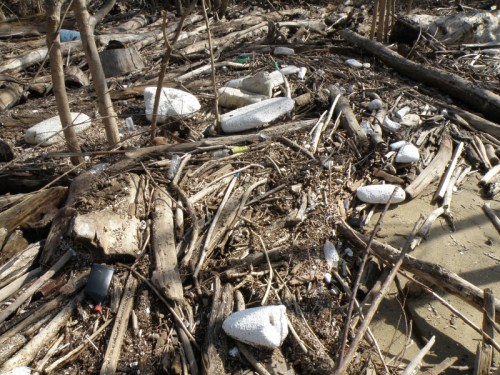 last year's Styrofoam, Feb. 2013