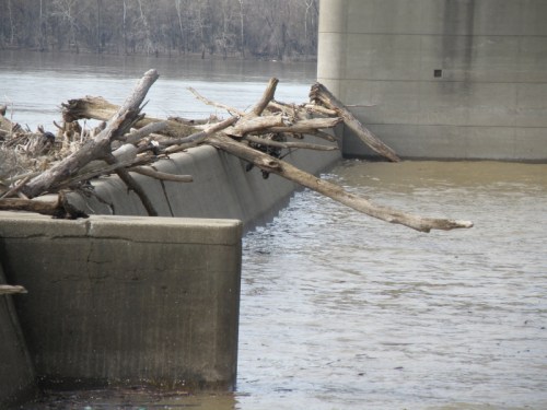 logs on the dam, March 2013